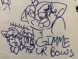 Size: 2868x2194 | Tagged: safe, artist:rainbow eevee, imported from derpibooru, twilight sparkle, oc, oc:landen irelan, oc:rainbow eevee, dog, pony, angry, chest fluff, dialogue, drawing, lineart, pen drawing, traditional art, trio
