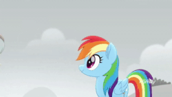 Size: 1920x1080 | Tagged: safe, imported from derpibooru, screencap, barley barrel, pickle barrel, rainbow dash, pegasus, pony, rainbow roadtrip, animated, barrel twins, siblings, sound, twins, webm