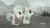 Size: 1920x1080 | Tagged: safe, imported from derpibooru, screencap, barley barrel, pickle barrel, pegasus, pony, rainbow roadtrip, 20% cooler, animated, barrel twins, siblings, sound, twins, webm
