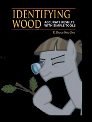 Size: 900x1186 | Tagged: safe, edit, edited screencap, imported from derpibooru, screencap, mudbriar, earth pony, pony, student counsel, book cover, cover, hoof hold, identifying wood, loupe, male, meme, solo, stallion, stick