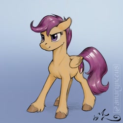 Size: 900x900 | Tagged: safe, artist:amarynceus, imported from derpibooru, scootaloo, pegasus, pony, blue background, colored hooves, female, filly, realistic horse legs, simple background, solo, unshorn fetlocks