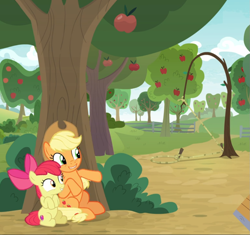 Size: 995x936 | Tagged: safe, imported from derpibooru, screencap, apple bloom, applejack, earth pony, pony, going to seed, adorabloom, apple sisters, apple tree, cropped, cute, duo, excited, female, filly, foal, hiding, jackabetes, male, mare, siblings, sisters, sitting, smiling, snare trap, trap (device), tree
