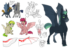 Size: 3700x2480 | Tagged: safe, artist:jackiebloom, imported from derpibooru, oc, oc only, oc:northern skies, bat pony, pegasus, pony, anatomy, bat pony oc, colt, featherless wings, headcanon, headcanon in the description, hybrid wings, male, slit pupils, upside down, wing claws, wings