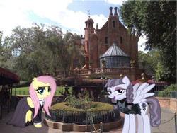 Size: 642x483 | Tagged: safe, editor:undeadponysoldier, imported from derpibooru, fluttershy, inky rose, pegasus, pony, amusement park, bush, clothes, disney world, dress, female, florida, fluttergoth, goth, gothic eyeliner, haunted mansion ride, house, irl, lidded eyes, looking at you, magic kingdom, makeup, mansion, mare, open mouth, orlando, photo, ponies in real life, queue, ride, spread wings, the haunted mansion, theme park, wagon, walt disney world, wings