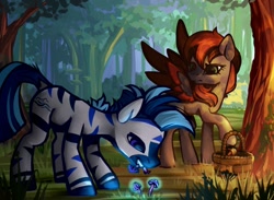 Size: 1024x749 | Tagged: safe, artist:nancy-05, imported from derpibooru, oc, oc only, oc:essorille, oc:sebrastian, pegasus, pony, zebra, basket, duo, eating, forest, mushroom