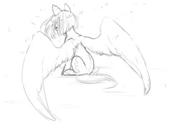 Size: 1023x731 | Tagged: safe, artist:aoiyui, imported from derpibooru, oc, oc only, pegasus, pony, sketch, solo