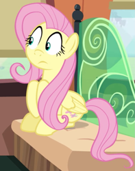 Size: 911x1156 | Tagged: safe, imported from derpibooru, screencap, fluttershy, pegasus, pony, buckball season, cropped, female, friendship express, mare, sitting, solo, worried