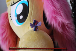 Size: 2896x1944 | Tagged: safe, artist:joltage, artist:tinyequine, imported from derpibooru, fluttershy, twilight sparkle, alicorn, pegasus, pony, boss battle, dark souls, female, irl, macro, macro/micro, micro, photo, plushie, size difference, text, this will end in pain and/or death, twilight sparkle (alicorn)