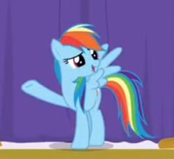 Size: 343x313 | Tagged: safe, imported from derpibooru, screencap, rainbow dash, pegasus, pony, grannies gone wild, curtain, curtains, female, mare, raised hoof, solo