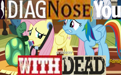 Size: 959x597 | Tagged: safe, artist:thedizzydan, edit, edited screencap, imported from derpibooru, screencap, fluttershy, rainbow dash, tank, pegasus, pony, tortoise, back at the barnyard, caption, expand dong, exploitable meme, female, image macro, implied death, mare, meme, text