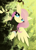 Size: 1700x2338 | Tagged: dead source, safe, artist:pedrohander, imported from derpibooru, fluttershy, pegasus, pony, clothes, dress, female, forest, solo, sweater