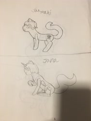 Size: 4032x3024 | Tagged: safe, imported from derpibooru, oc, oc only, oc:jara, oc:jarmahi, pony, ponified, traditional art