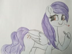 Size: 2016x1512 | Tagged: safe, artist:straighttothepointstudio, edit, imported from derpibooru, oc, oc only, oc:serendipity, pegasus, pony, colored, cute, cutie mark, drawing, female, glasses, long mane, mare, smiling, solo, traditional art