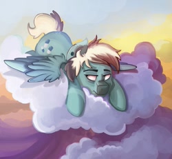 Size: 929x860 | Tagged: safe, artist:saxopi, imported from derpibooru, oc, oc:high haze, pegasus, pony, cloud