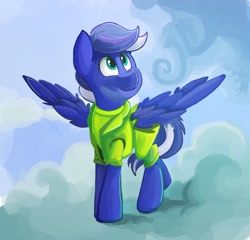 Size: 900x863 | Tagged: safe, artist:saxopi, imported from derpibooru, oc, pegasus, pony, clothes