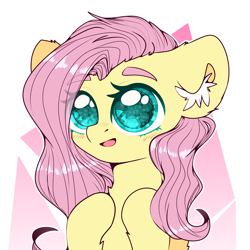 Size: 2000x2000 | Tagged: safe, artist:etoz, imported from derpibooru, fluttershy, pony, abstract background, blushing, bust, colored pupils, cute, ear fluff, eye clipping through hair, eyebrows, eyebrows visible through hair, female, leg fluff, mare, open mouth, shyabetes, solo