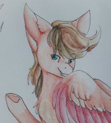 Size: 927x1024 | Tagged: safe, artist:primarylily-brisk, imported from derpibooru, oc, oc:crimsonwing, pegasus, pony, green eyes, male, smiling, traditional art