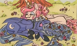 Size: 1280x761 | Tagged: safe, artist:candasaurus, imported from derpibooru, princess celestia, princess luna, alicorn, pony, blushing, braid, female, flower, flower in hair, grass, happy, mare, s1 luna, sleeping, smiling, traditional art