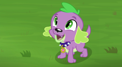 Size: 720x397 | Tagged: safe, imported from derpibooru, screencap, spike, spike the regular dog, dog, equestria girls, equestria girls series, the road less scheduled, spoiler:choose your own ending (season 2), spoiler:eqg series (season 2), collar, cute, fangs, grass, male, open mouth, paws, puppy, smiling, spikabetes, tail