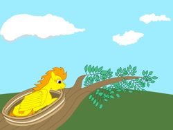 Size: 800x600 | Tagged: artist needed, safe, imported from derpibooru, oc, oc only, pegasus, pony, behaving like a bird, nest, nesting instinct, newbie artist training grounds, pegasus oc, sky, tree branch