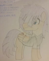 Size: 1944x2418 | Tagged: safe, artist:jaredking179, artist:jaredking779, imported from derpibooru, oc, oc only, oc:vincent, pegasus, pony, clothes, male, solo, traditional art