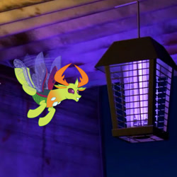 Size: 468x468 | Tagged: safe, imported from derpibooru, thorax, changedling, changeling, a bug's life, abuse, behaving like a moth, bug zapper, bugs doing bug things, disney, flying, irl, king thorax, male, oh no, photo, pixar, smiling, solo, this will end in death, thorabuse