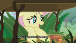 Size: 1360x768 | Tagged: safe, edit, edited screencap, imported from derpibooru, screencap, fluttershy, gecko, pony, she talks to angel, caption, meme, rude, vulgar, youtube caption