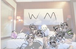 Size: 745x485 | Tagged: safe, artist:silver fox, derpibooru exclusive, imported from derpibooru, oc, human, pony, bed, china, china ponycon, chinese, group, group photo, hotel, hotel room, irl, irl human, meme, monochrome, photo, sya's moon, wm club