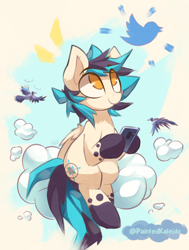 Size: 1940x2568 | Tagged: safe, artist:kaleido-art, imported from derpibooru, oc, oc only, oc:trailblazer, bird, pegasus, pony, cloud, male, ponysona, stallion