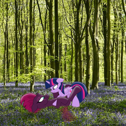 Size: 3331x3351 | Tagged: safe, artist:ejlightning007arts, imported from derpibooru, tempest shadow, twilight sparkle, alicorn, pony, beautiful, broken horn, eye scar, female, floppy ears, flower, forest, horn, lesbian, looking at each other, lying down, photoshop, pinned, scar, shipping, tempestlight, tree, twilight sparkle (alicorn), wood