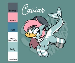 Size: 2560x2160 | Tagged: safe, artist:sugar morning, imported from derpibooru, oc, oc only, oc:caviar, fish, original species, pony, shark pony, beanie, clothes, female, hat, looking up, mare, neck warmer, pale belly, reference sheet, simple background, solo