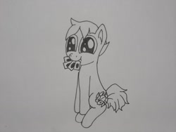 Size: 1024x768 | Tagged: safe, artist:ignionyx, imported from derpibooru, oc, oc only, earth pony, pony, commission, cute, happy, solo, traditional art