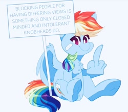 Size: 1049x919 | Tagged: safe, deleted from derpibooru, imported from derpibooru, rainbow dash, caption, image macro, solo, text