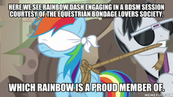 Size: 600x337 | Tagged: safe, edit, edited screencap, imported from derpibooru, screencap, rainbow dash, withers, pegasus, pony, daring done?, blindfold, bound wings, caption, female, henchmen, image macro, implied bdsm, male, mare, memeful.com, mouth hold, rainbond dash, rope, stallion, sunglasses, text, tied up, wings