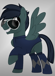 Size: 1000x1379 | Tagged: safe, artist:black_bon, imported from derpibooru, oc, oc:pathfinder, pony, clothes, male, socks