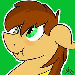 Size: 1280x1280 | Tagged: safe, artist:siggyderp, imported from derpibooru, oc, oc only, pony, blushing, commission, icon, male, profile picture, signature, solo, stallion