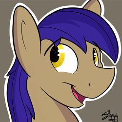 Size: 5000x5000 | Tagged: safe, artist:siggyderp, imported from derpibooru, oc, oc only, pony, commission, icon, male, profile picture, signature, solo, stallion