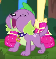 Size: 566x594 | Tagged: safe, imported from derpibooru, screencap, pinkie pie, spike, spike the regular dog, dog, equestria girls, equestria girls series, wake up!, spoiler:choose your own ending (season 2), spoiler:eqg series (season 2), cropped, cute, male, paws, shoes, sneakers, solo focus, spikabetes, spike's dog collar, wake up!: pinkie pie