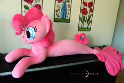 Size: 1280x856 | Tagged: safe, artist:purplenebulastudios, imported from derpibooru, pinkie pie, seapony (g4), irl, photo, plushie, seaponified, seapony pinkie pie, solo, species swap