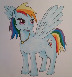 Size: 2734x2950 | Tagged: safe, artist:saekato, artist:xalaris, imported from derpibooru, rainbow dash, pegasus, pony, female, solo, traditional art, wings