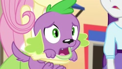 Size: 1272x718 | Tagged: safe, imported from derpibooru, screencap, fluttershy, rarity, spike, spike the regular dog, dog, equestria girls, movie magic, spoiler:eqg specials, female, offscreen character, paws, tail