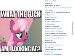 Size: 640x480 | Tagged: safe, edit, edited screencap, imported from derpibooru, screencap, cheerilee, earth pony, pony, hearts and hooves day (episode), best pony, caption, cleverbot, confused, female, image macro, implied fluttershy, implied rarity, mare, meme, memecenter, solo, text, theme song, vulgar, wat, what the fuck am i reading, worst pony