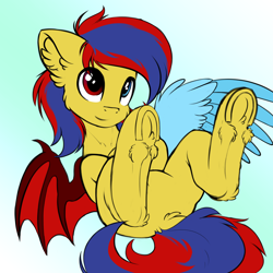 Size: 3500x3500 | Tagged: safe, artist:airfly-pony, imported from derpibooru, oc, oc only, oc:starflame blood, bat pony, pony, bat pony oc, cute, featureless crotch, frog (hoof), gradient background, heterochromia, male, rcf community, solo, stallion, underhoof