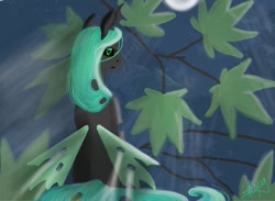 Size: 900x660 | Tagged: safe, artist:kira-minami, imported from derpibooru, queen chrysalis, changeling, changeling queen, female, looking at you, looking back, looking back at you, moon, night, sad, signature, sitting, solo