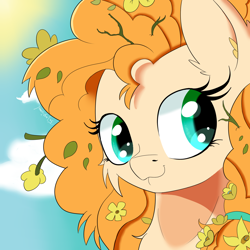 Size: 1500x1500 | Tagged: safe, artist:fajnyziomal, imported from derpibooru, pear butter, pony, bust, cheek fluff, cloud, cute, ear fluff, female, flower, flower in hair, mare, messy mane, pearabetes, portrait, sky, solo, sun, twig