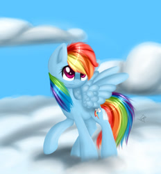 Size: 580x624 | Tagged: safe, artist:vikuskaal, imported from derpibooru, rainbow dash, pegasus, pony, cloud, female, mare, solo