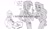Size: 1280x740 | Tagged: safe, artist:bevin brand, imported from derpibooru, princess cadance, princess celestia, shining armor, equestria girls, alumnus shining armor, black and white, commission, cracking knuckles, dean cadance, dialogue, female, grayscale, implied shiningcadance, implied shipping, implied straight, jealous, laughing, male, monochrome, official fan art, principal celestia, sketch