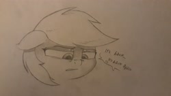 Size: 4128x2322 | Tagged: safe, artist:foxtrot3, imported from derpibooru, oc, oc only, pony, depressed, sad, self insert, solo, text, traditional art