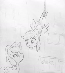 Size: 1260x1408 | Tagged: safe, artist:tjpones, imported from derpibooru, applejack, rainbow dash, earth pony, pegasus, pony, caught, caught red hooved, cider, cider theft, disappointed, duo, duo female, eye contact, female, hanging, looking at each other, mare, monochrome, rope, rope trap, thief, traditional art, trap (device)