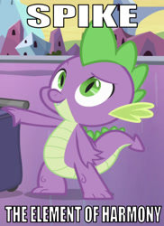 Size: 641x882 | Tagged: safe, edit, edited screencap, editor:undeadponysoldier, imported from derpibooru, screencap, spike, dragon, equestria girls, equestria girls (movie), caption, crystal empire, element of harmony, image macro, male, meme, op has a point, seventh element, solo, spike the element of harmony, text